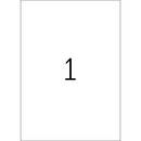 Blank template for Word A4 Portrait format